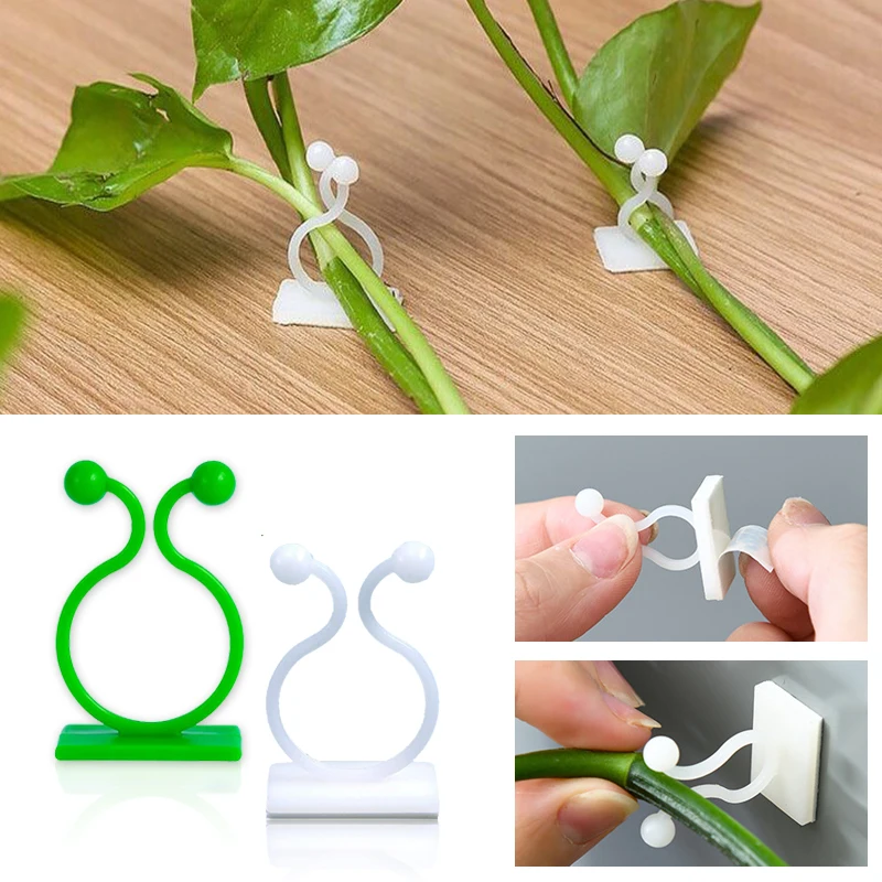 Wall Anchor Plastic - Plant Climbing Wall Self-Adhesive Fixed Buckle
