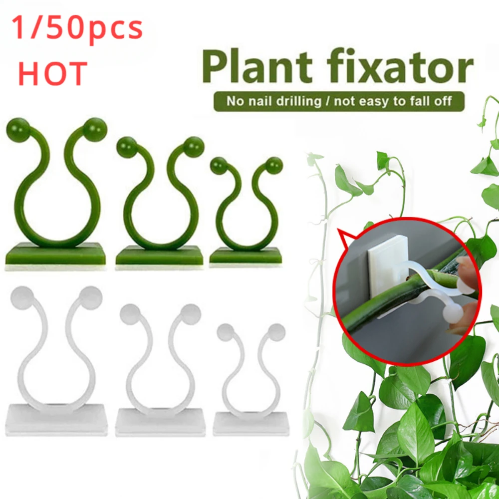 1/30/50Pcs For Garden Accsesor - đánh giá và giá Wall Anchor Plastic