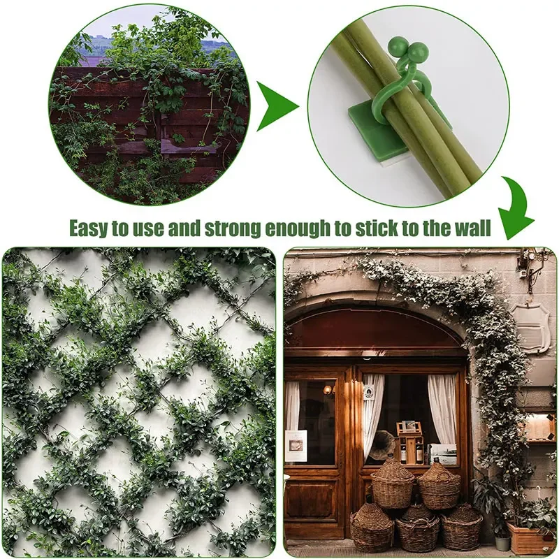 1/30/50Pcs For Garden Accsesor - đánh giá và giá Wall Anchor Plastic