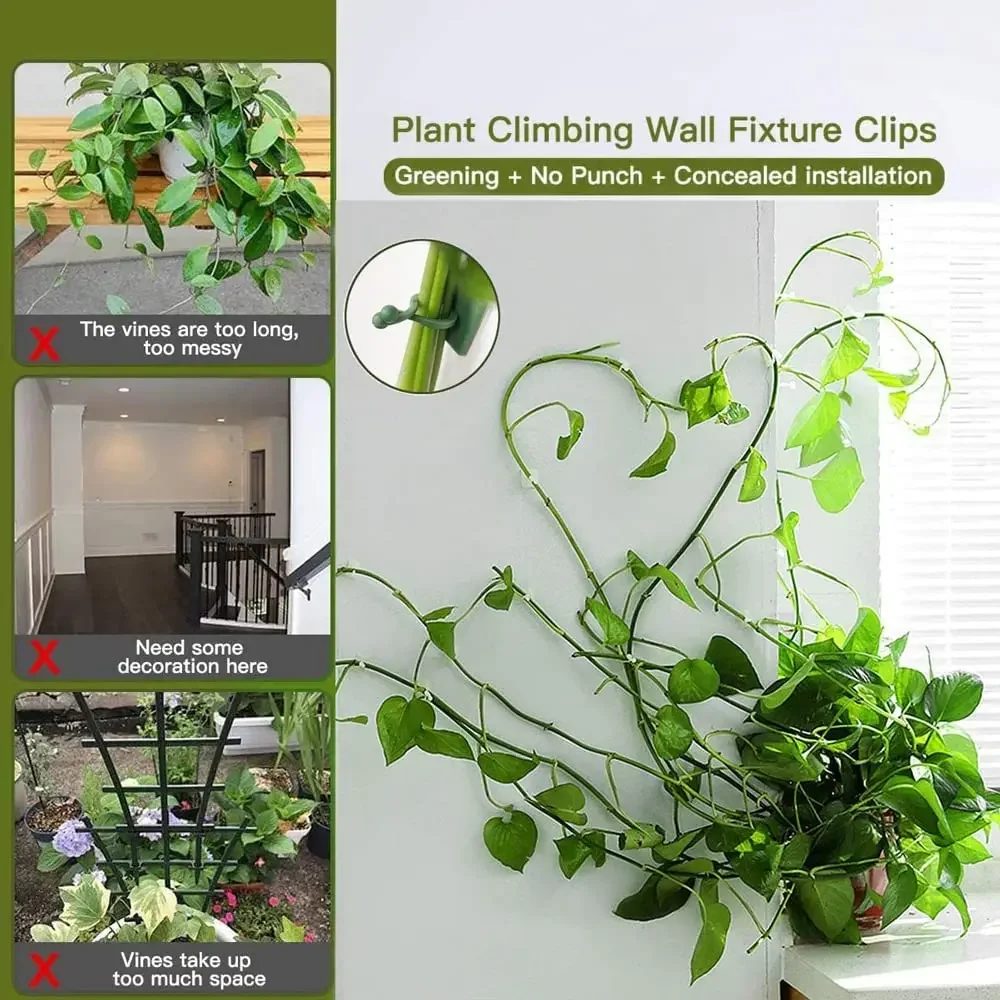 1/30/50Pcs For Garden Accsesor - đánh giá và giá Wall Anchor Plastic