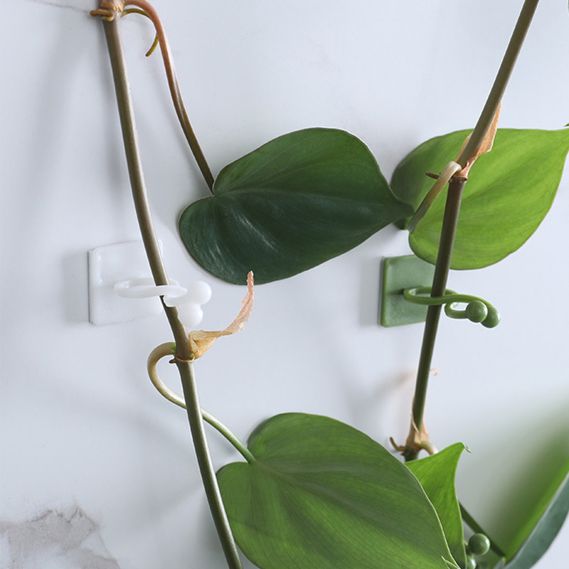 100pcs-Home Garden Plant Climb - đánh giá và giá Wall Anchor Plastic