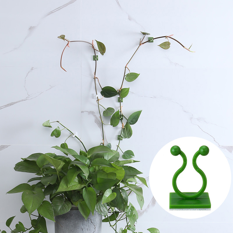 100pcs-Home Garden Plant Climb - đánh giá và giá Wall Anchor Plastic