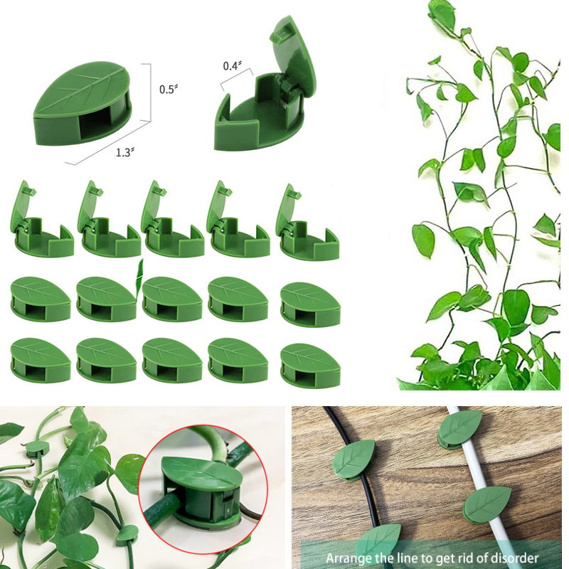 Vô Hình Vật Có Hoa Leo Tường Đ - đánh giá và giá Wall Anchor Plastic