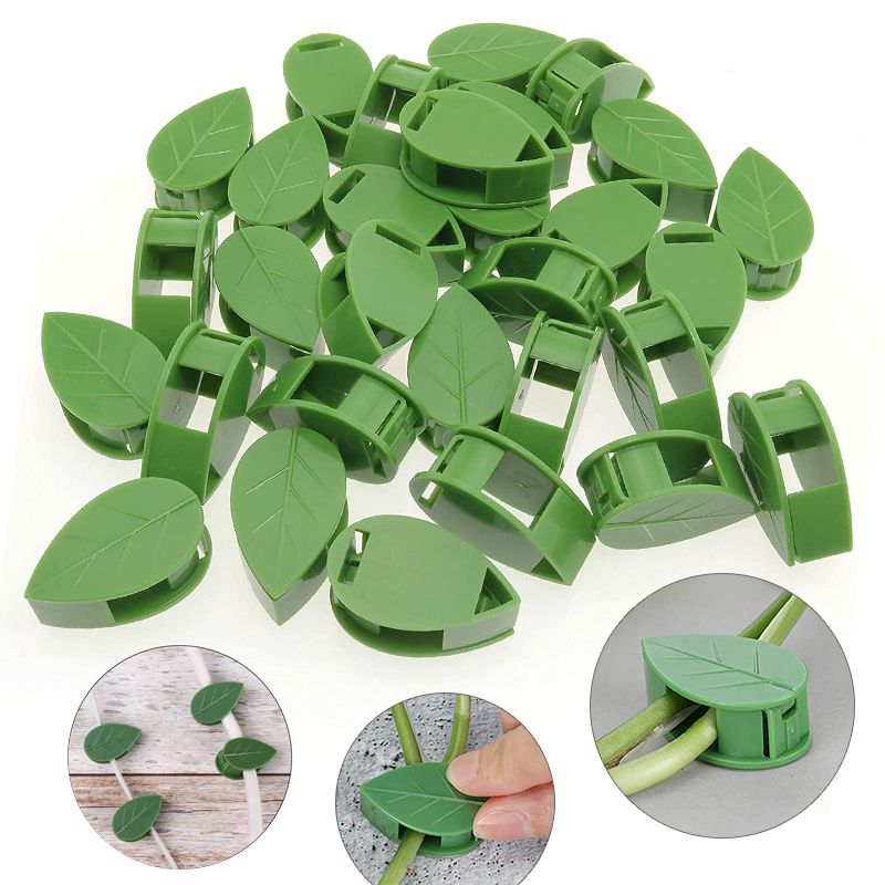Vô Hình Vật Có Hoa Leo Tường Đ - đánh giá và giá Wall Anchor Plastic