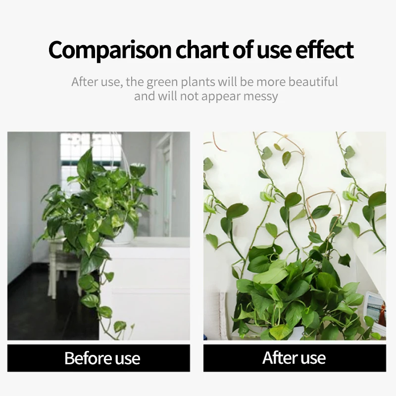 Plant Climbing Wall Self-Adhes - đánh giá và giá Wall Anchor Plastic